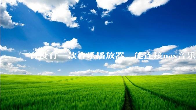 有没有一款音乐播放器，能连接nas音乐，创建音乐库，自动匹配歌词封面等等？类似infuse的概念呢？