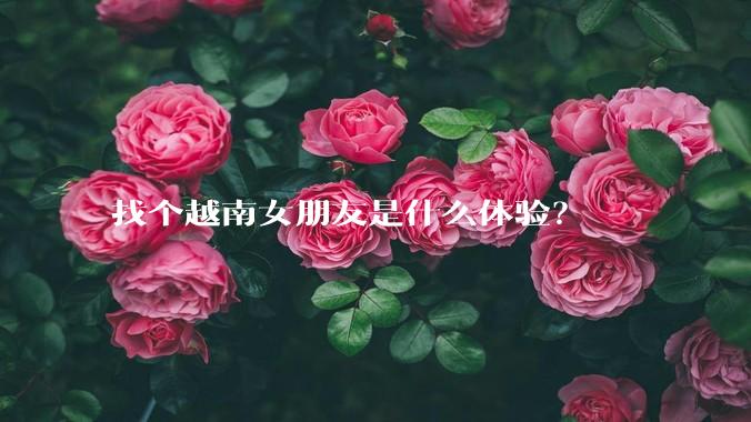 找个越南女朋友是什么体验？