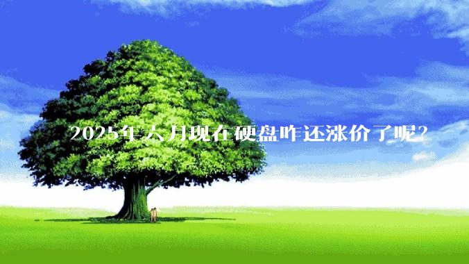 2025年六月现在硬盘咋还涨价了呢？