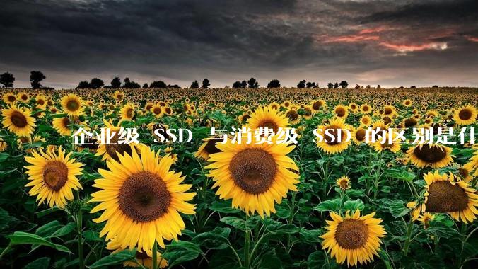 企业级 SSD 与消费级 SSD 的区别是什么？