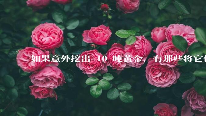 如果意外挖出 10 吨黄金，有那些将它们洗白、正常使用的方法？