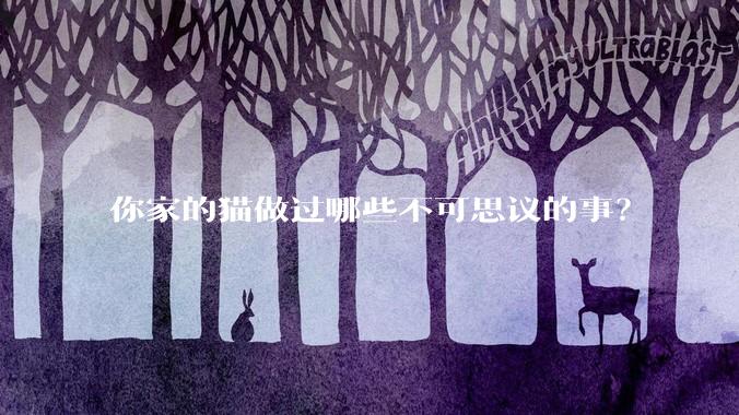 你家的猫做过哪些不可思议的事？
