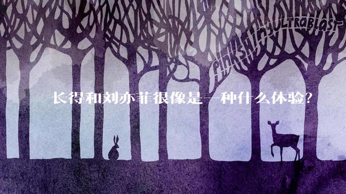 长得和刘亦菲很像是一种什么体验？