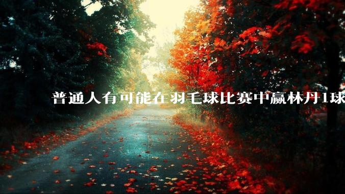 普通人有可能在羽毛球比赛中赢林丹1球吗?