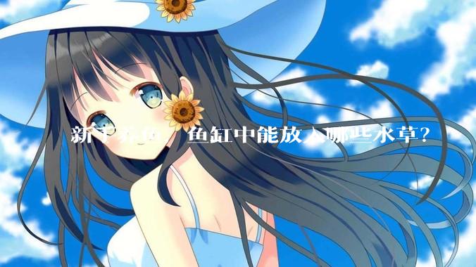 新手养鱼，鱼缸中能放入哪些水草？