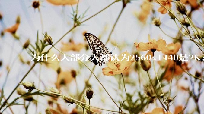为什么大部分人都认为2560x1440是2K？