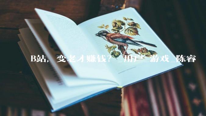 B站，变老才赚钱？_用户_游戏_陈睿