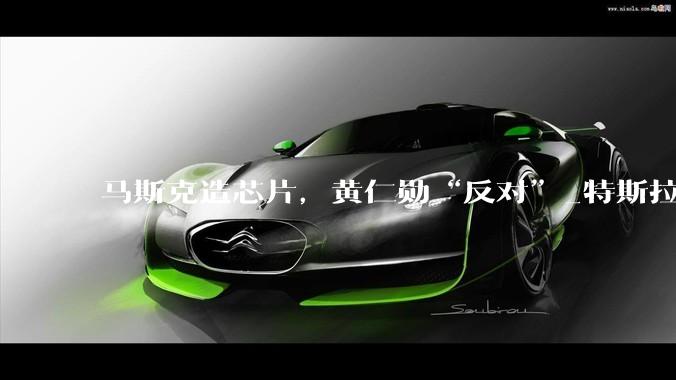 马斯克造芯片，黄仁勋“反对”_特斯拉_Terafab_制造