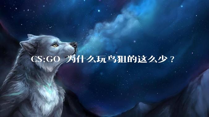 CS:GO 为什么玩鸟狙的这么少?