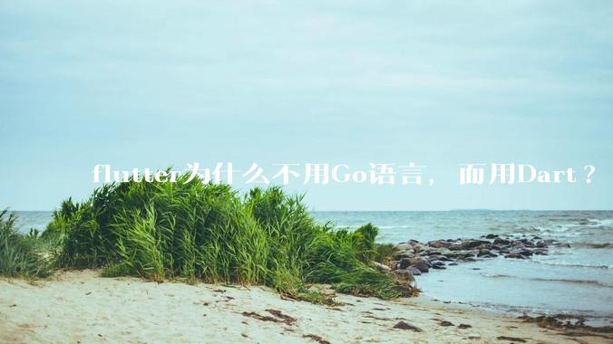flutter为什么不用Go语言，而用Dart?