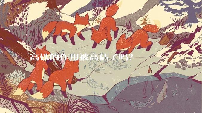 高铁的作用被高估了吗？