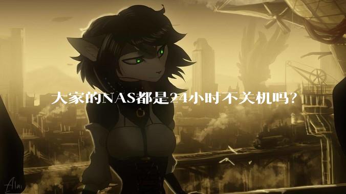大家的NAS都是24小时不关机吗？