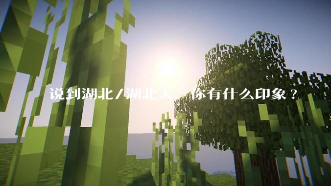 说到湖北/湖北人，你有什么印象?