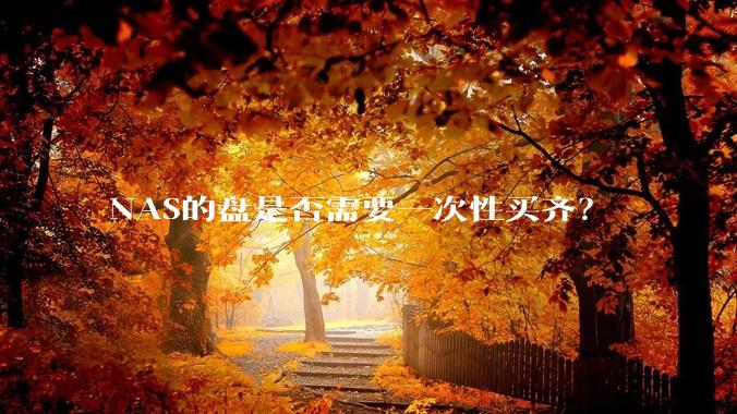 NAS的盘是否需要一次性买齐？