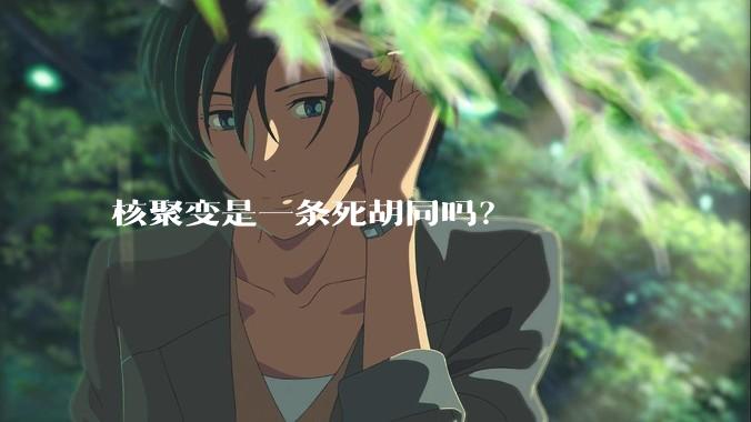 核聚变是一条死胡同吗？