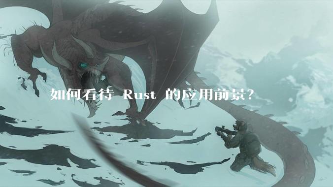如何看待 Rust 的应用前景？