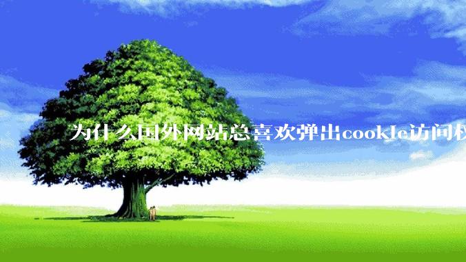 为什么国外网站总喜欢弹出cookie访问权限弹窗，国内网站却没有，这么做有什么意义？